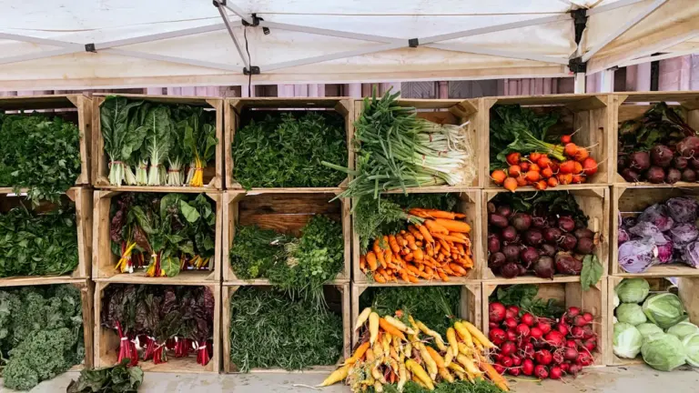 Frisches Gemüse in Holzstiegen auf einem deutschen Wochenmarkt am St. Johanner Markt.